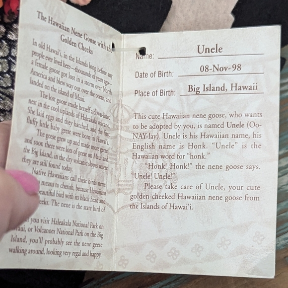 Hawaiian Collectibles Passport #014954 "Unele" Nene Goose - Picture 10 of 13